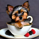 Search for yorkshire terrier posters Yorkie