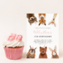 Search for fox 1st birthday invitations Pink