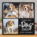 Search for paw print plaques Photo collage