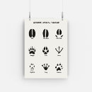 Search for animal tracks posters Footprint