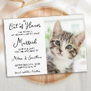 Search for cat wedding save the dates Kitten