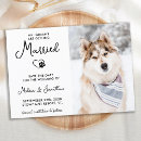 Search for dog save the dates Modern