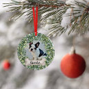 Search for dog bone christmas tree decorations Modern