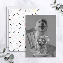Search for pet adoption invitations Overlay