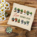 Search for succulent cushions Cacti