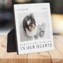 Search for bird pet memorials In loving memory