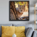 Search for bobcat posters Wildcat