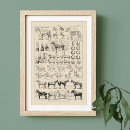 Search for anatomy chart posters Vintage