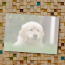 Search for teachers post it notes Trendy