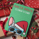 Search for frenchie christmas cards Blue merle frenchie
