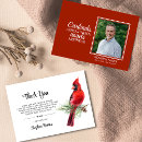 Search for cardinal bird Funeral