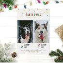 Search for naughty dog cards Dogs