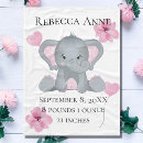 Search for pink elephant Grey