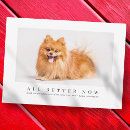 Search for veterinarian thank you cards Thanks