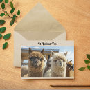 Search for alpaca valentines day cards Couple