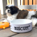 Search for pups pet supplies Black and white