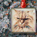 Search for cat in frame christmas tree decorations Pet