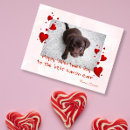Search for valentines day photo postcards Pet