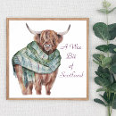 Search for wee posters Highland cow