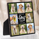 Search for dad pet supplies Photo collage