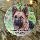 Search for rainbow bridge christmas tree decorations In loving memory