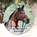 Search for horse christmas tree decorations pet photo