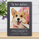 Search for veterinarian gifts Thank you