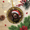 Search for puppys first christmas Xmas