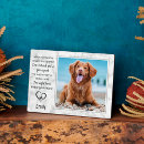 Search for pet memorial plaques Remembrance