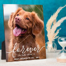 Search for pet portraits Sympathy