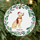 Search for retriever christmas tree decorations Dog