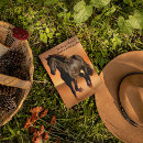Search for orange horse postcards Beautiful