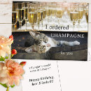 Search for cat in glasses cards Champagne