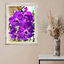 Search for tropical plants posters Flowers