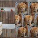 Search for cat bathroom accessories Pet