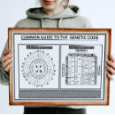 Search for genetic code posters Codon