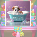 Search for soap bubble Cute