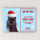 Search for funny horse cards Animal