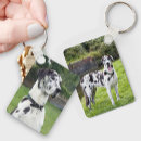 Search for your dog key rings keepsake