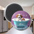 Search for soap magnets Cute