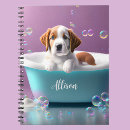 Search for soap bubble Cute