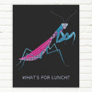 Search for praying mantis posters Funny