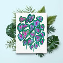 Search for houseplant postcards Leaves