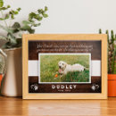 Search for lovely dog posters For pets