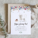Search for bichon frise invitations Dog