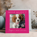 Search for naughty cats cards Humour