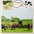 Search for jersey cow puzzles Cows