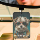 Search for funny animals car air fresheners Pet