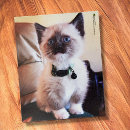 Search for crazy cat lady puzzles Cute