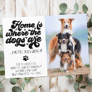 Search for funny moving announcement cards Dog lover